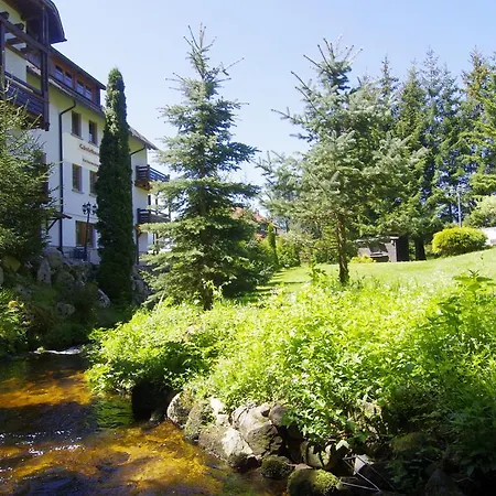 Hotel Schoneck Garni - - Hochschwarzwald 3*