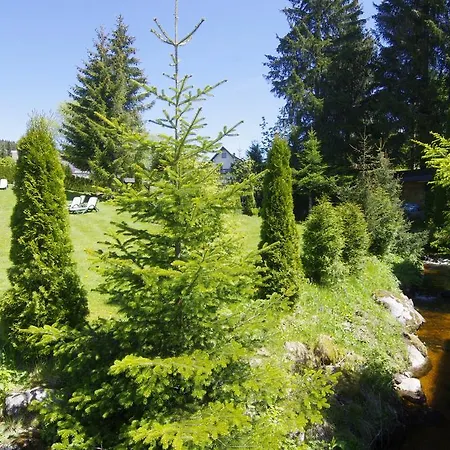 Hotel Schoneck Garni - - Hochschwarzwald 3*