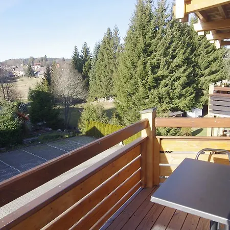 Hotel Schoneck Garni - - Hochschwarzwald