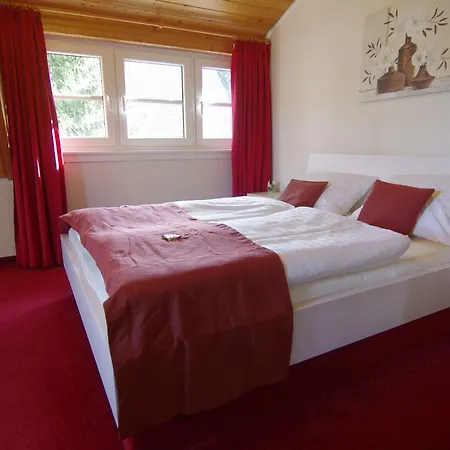 Schoneck Garni - - Hochschwarzwald Hotel Schluchsee