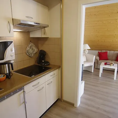 Hotel Schoneck Garni - - Hochschwarzwald 3*