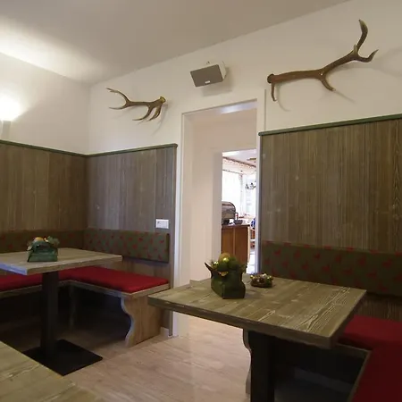 Schoneck Garni - - Hochschwarzwald Hotel