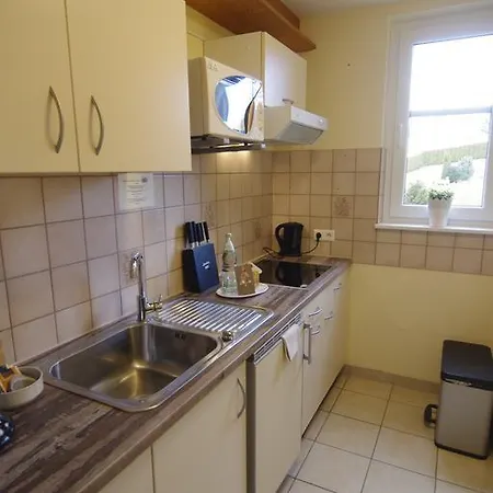 Hotel Schoneck Garni - - Hochschwarzwald 3*