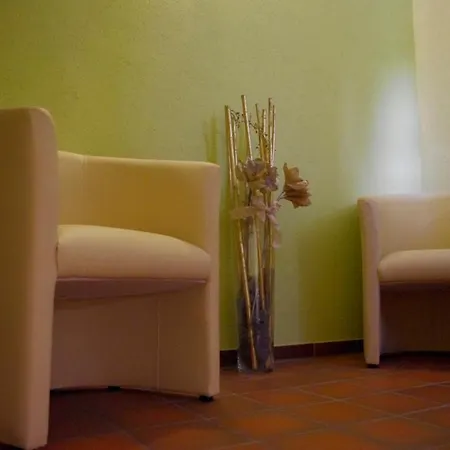 Schoneck Garni - - Hochschwarzwald Hotel