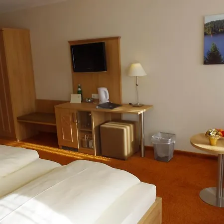 Hotel Schoneck Garni - - Hochschwarzwald