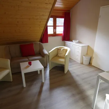 Hotel Schoneck Garni - - Hochschwarzwald