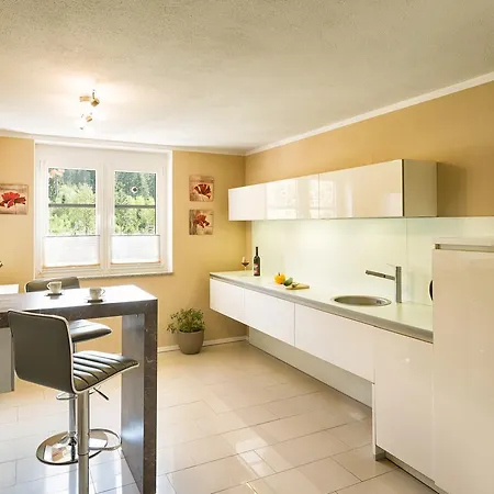Hotel Schoneck Garni - - Hochschwarzwald